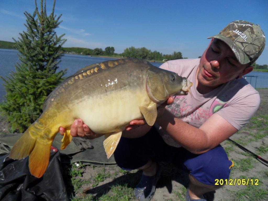 Ozetanya 2012 - sdc14259.JPG